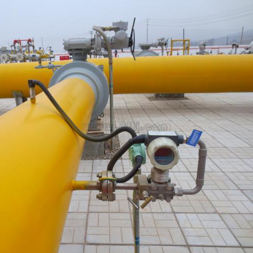 螺桿流量計技術分享:SVC10K1F1R2SH型號解析